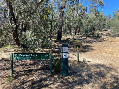 Mt Everard Circuit - Find Attractions 1