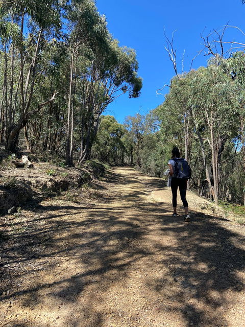 Mt Everard Circuit - Find Attractions 2