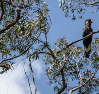 Mummel Gulf National Park - Find Attractions