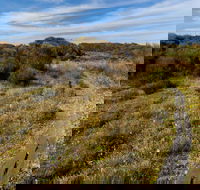 Murramarang Aboriginal Area Walking Track - Find Attractions