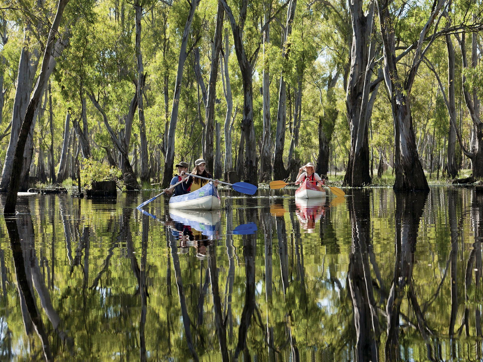 Moonbria NSW Find Attractions