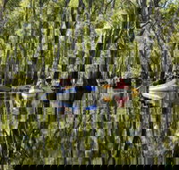 Murray River canoe trails - Find Attractions
