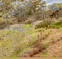 Old Mountain Road Walking Track - Find Attractions