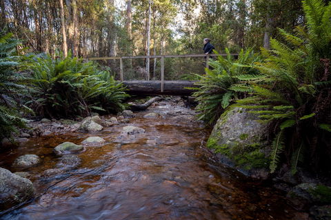 O'Neills Creek Picnic Reserve - Find Attractions 0