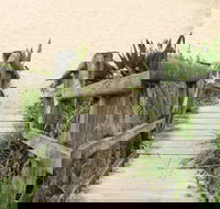Pebbly Beach to Snake Bay walking track - Find Attractions