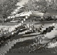 Pioneer Park - Find Attractions