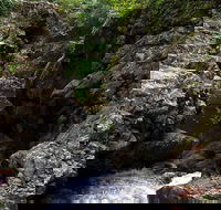 Potoroo Falls walk - Find Attractions