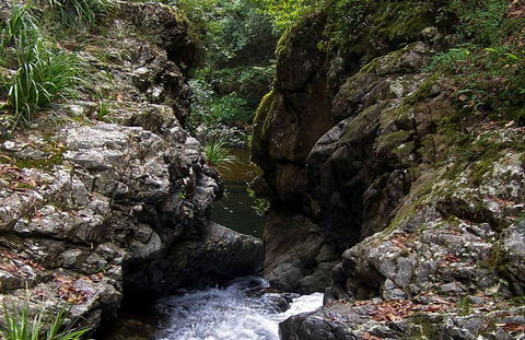 Potoroo Falls Walk - Find Attractions 0
