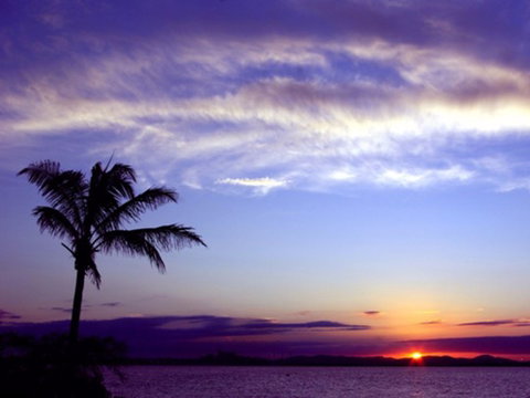 Quoin Island Retreat And Turtle Rehabilitation Centre - Find Attractions 0