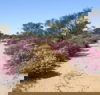 Reynoldson's Flora Reserve - Find Attractions