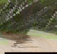 Riverview walking track - Find Attractions