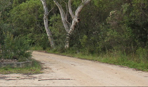 Riverview Walking Track - Find Attractions 0