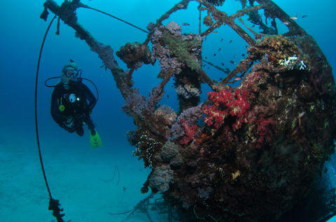 Severance Shipwreck Dive Site - Find Attractions 0