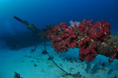 Severance Shipwreck Dive Site - Find Attractions 2