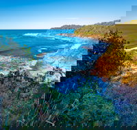 Shellgrit Beach Red Head - Find Attractions