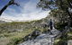 Snow Gums Boardwalk - thumb 0