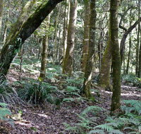 Summit Walking Track Mount Hyland Nature Reserve - Find Attractions