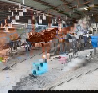 The Equine Club - Find Attractions