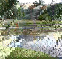 Tumut Wetlands - Find Attractions
