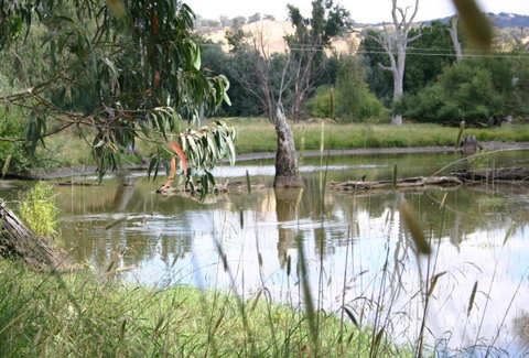 Tumut Wetlands - Find Attractions 0