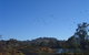 Tumut Wetlands - thumb 1