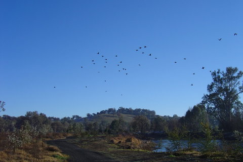Tumut Wetlands - Find Attractions 1