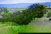 Wild Dog Barrier Fence