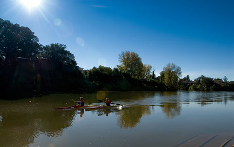 Wilsons River Experience Walk - Find Attractions 1