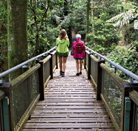 Wonga Walk - Find Attractions