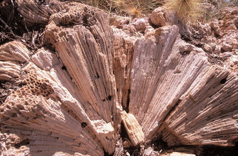 Yardie Creek Walk Trail - Find Attractions 2