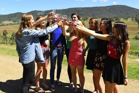 Hunter Valley Wine Tour Ex Pokolbin With Lunch, Cheese, Chocolate And Distillery - Find Attractions 0