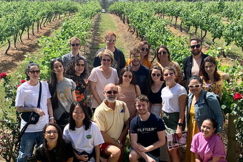 Hunter Valley Wine Tour Ex Pokolbin With Lunch, Cheese, Chocolate And Distillery - Find Attractions 14