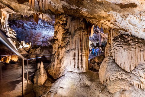 Jenolan Caves: Lucas Cave Tour - Find Attractions 2