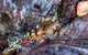 Jenolan Caves: Chifley Cave Tour - thumb 3