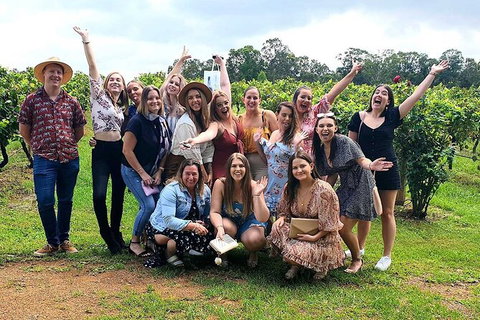 Hunter Valley Wine Tour From The Hunter With Wine Craft Beer Cheese Chocolate - Find Attractions 6