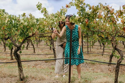 Lovedale & North Pokolbin, Hunter Valley Hop-On And Hop-off Bus Tour - Find Attractions 4