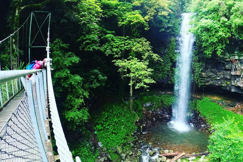 Rainforest & Waterfall Experience - Find Attractions 0