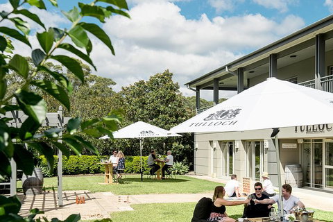 Tulloch Wines- Premium Museum Aged Wine Tasting With Cheese And Charcuterie - Find Attractions 7