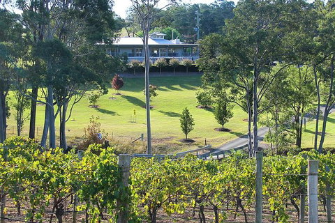 Tulloch Wines- Premium Museum Aged Wine Tasting With Cheese And Charcuterie - Find Attractions 5
