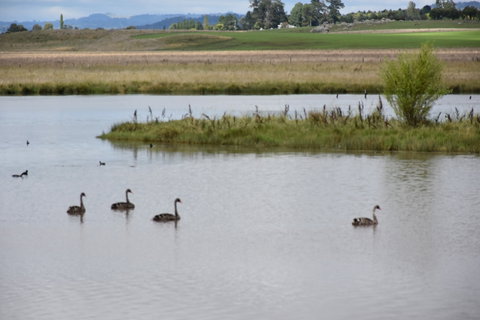 Beardy Waters Dam And Woodlands - Find Attractions 0