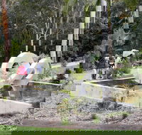 Maroochy Regional Bushland Botanic Garden - Find Attractions
