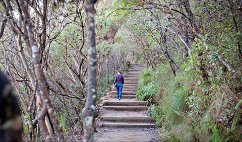 Princes Rock Walking Track - Find Attractions 0