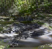 Protesters Falls Walking Track - Find Attractions
