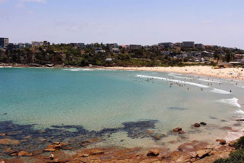 Half Day Manly Beach And More - Find Attractions 11