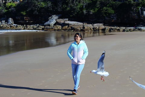 Half Day Manly Beach And More - Find Attractions 6