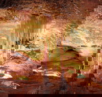 Jenolan Caves Ribbon Cave Tour - Find Attractions