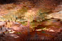 Jenolan Caves Ribbon Cave Tour