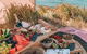 A Picnic In Byron Bay - thumb 0