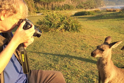 Highlights Of The Eurobodalla (half Day Private Tour) - Find Attractions 2