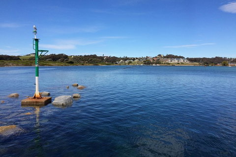 Highlights Of The Eurobodalla (half Day Private Tour) - Find Attractions 14